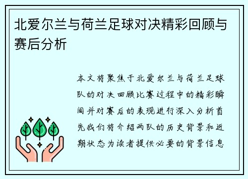 北爱尔兰与荷兰足球对决精彩回顾与赛后分析