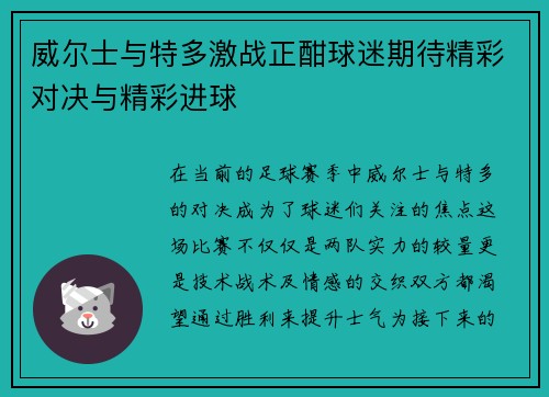威尔士与特多激战正酣球迷期待精彩对决与精彩进球