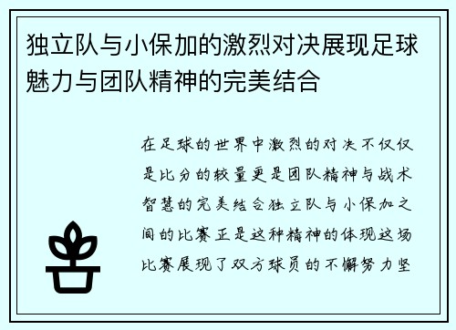 独立队与小保加的激烈对决展现足球魅力与团队精神的完美结合