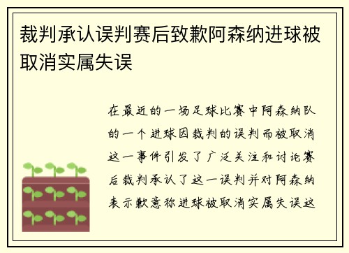 裁判承认误判赛后致歉阿森纳进球被取消实属失误