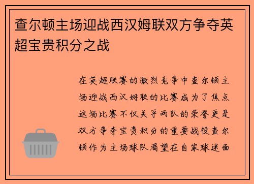查尔顿主场迎战西汉姆联双方争夺英超宝贵积分之战