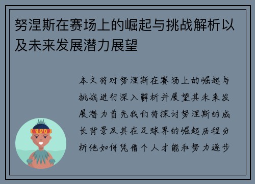 努涅斯在赛场上的崛起与挑战解析以及未来发展潜力展望