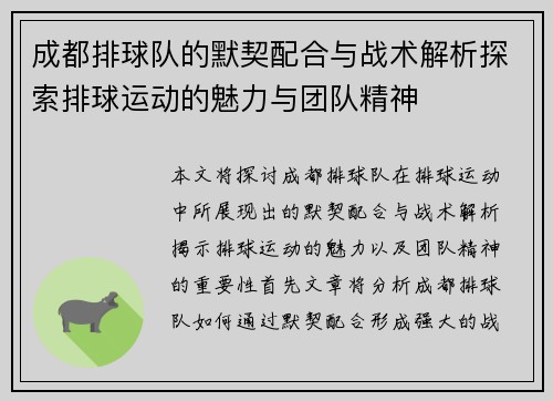 成都排球队的默契配合与战术解析探索排球运动的魅力与团队精神